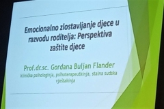 IMG-a21c30caa559c73a5f7faec9969f5c8b-V