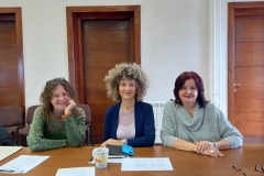 supervizijksa licenca6